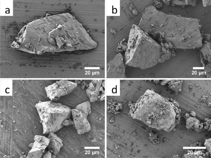 https://cdn.ncbi.nlm.nih.gov/pmc/blobs/e185/9122978/e90c88da6044/41598_2022_12430_Fig1_HTML.jpg