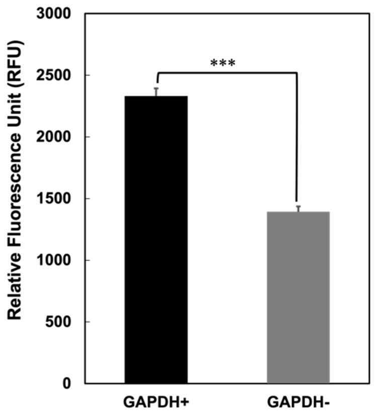 https://cdn.ncbi.nlm.nih.gov/pmc/blobs/e186/10302070/49b010c3bbec/microorganisms-11-01393-g003.jpg