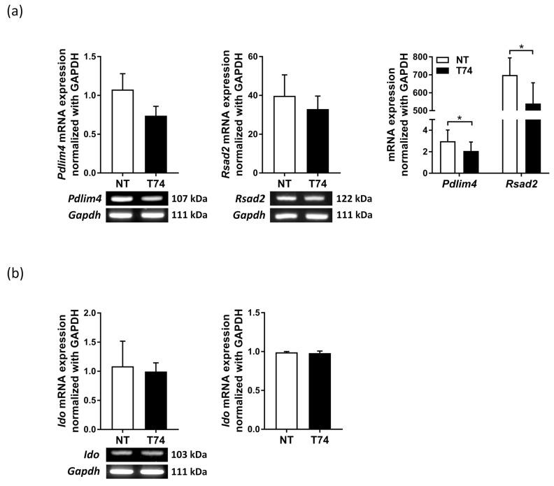 https://cdn.ncbi.nlm.nih.gov/pmc/blobs/e188/9498161/57cef296ccd2/cimb-44-00261-g003.jpg