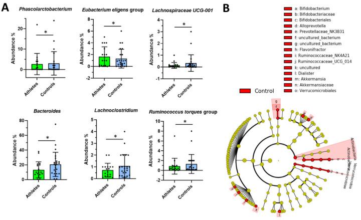 https://cdn.ncbi.nlm.nih.gov/pmc/blobs/e18a/9028832/368e6b9e0d7b/metabolites-12-00335-g003.jpg
