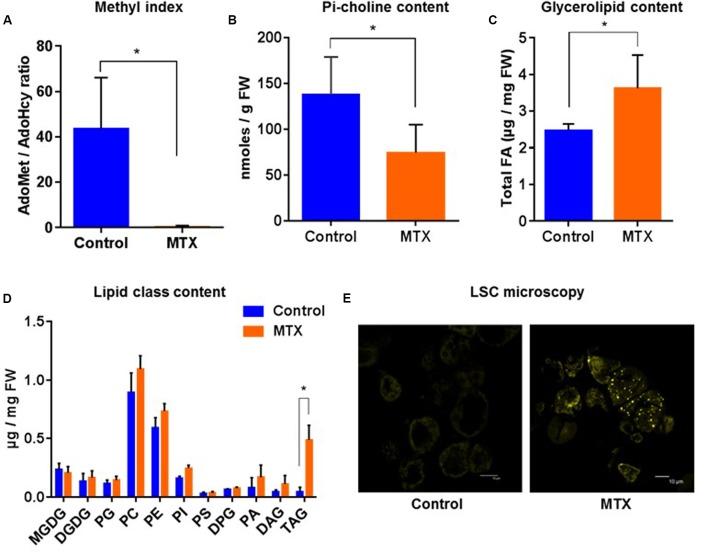 https://cdn.ncbi.nlm.nih.gov/pmc/blobs/e18e/5209388/0c6d2b93a4bd/fpls-07-02014-g003.jpg
