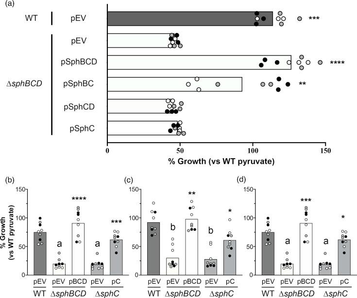 https://cdn.ncbi.nlm.nih.gov/pmc/blobs/e18f/11893366/3a24a001c1b5/mic-171-01520-g004.jpg