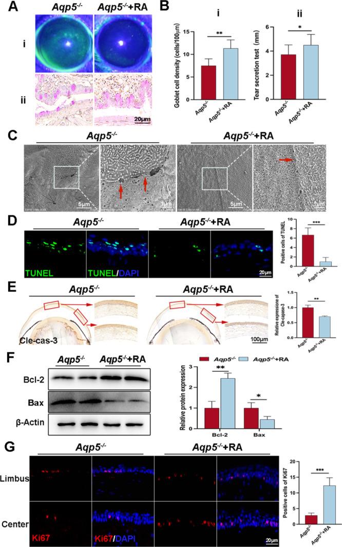 https://cdn.ncbi.nlm.nih.gov/pmc/blobs/e191/11262545/0511abf26ad7/iovs-65-8-25-f003.jpg