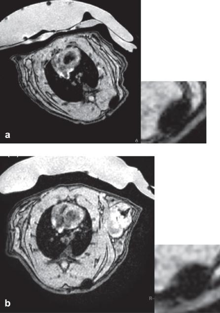 https://cdn.ncbi.nlm.nih.gov/pmc/blobs/e191/3172145/5cf30a3f1991/mcyt13-962-f8.jpg