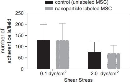 https://cdn.ncbi.nlm.nih.gov/pmc/blobs/e191/3172145/c4d0403d1f96/mcyt13-962-f6.jpg