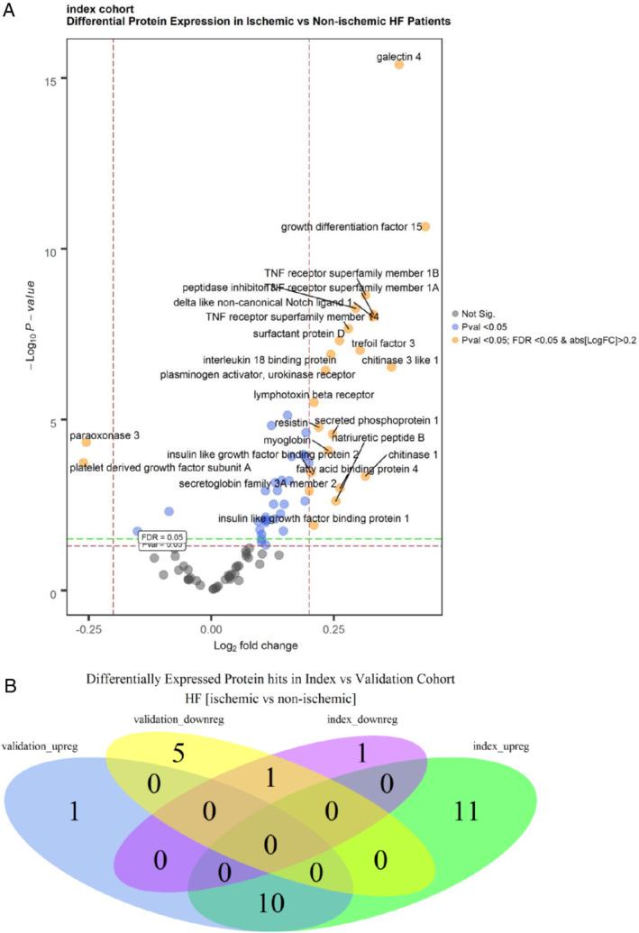 https://cdn.ncbi.nlm.nih.gov/pmc/blobs/e192/7319432/d086aa17e060/EJHF-22-821-g002.jpg