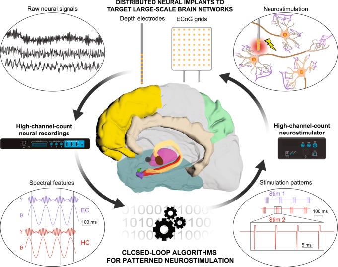 https://cdn.ncbi.nlm.nih.gov/pmc/blobs/e192/9823108/2f565295ab17/42003_2022_4390_Fig4_HTML.jpg