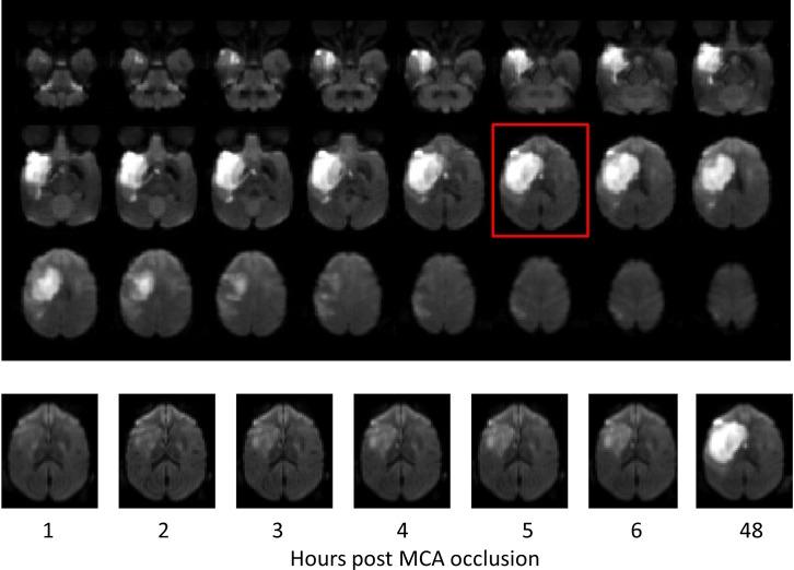 https://cdn.ncbi.nlm.nih.gov/pmc/blobs/e193/4319749/ad3d17af9452/pone.0117290.g001.jpg