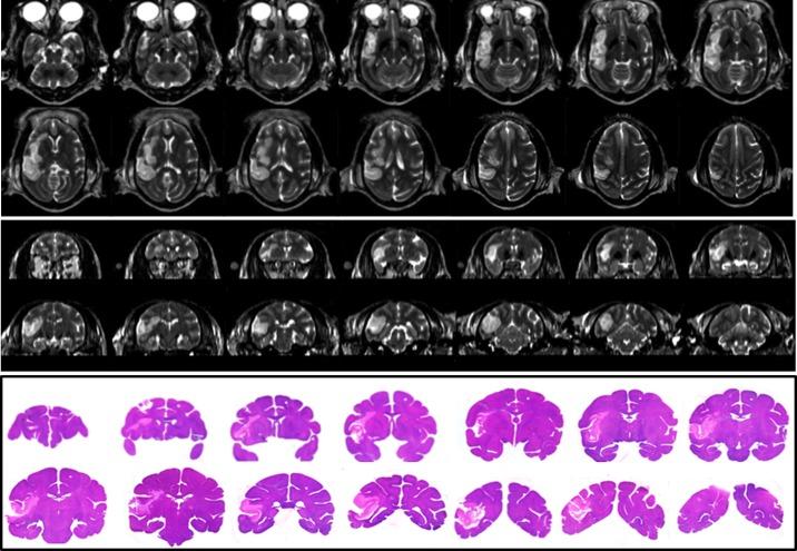 https://cdn.ncbi.nlm.nih.gov/pmc/blobs/e193/4319749/c9c2a2b81a8a/pone.0117290.g006.jpg