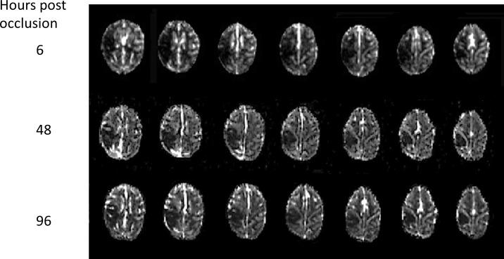 https://cdn.ncbi.nlm.nih.gov/pmc/blobs/e193/4319749/d23209f58190/pone.0117290.g003.jpg