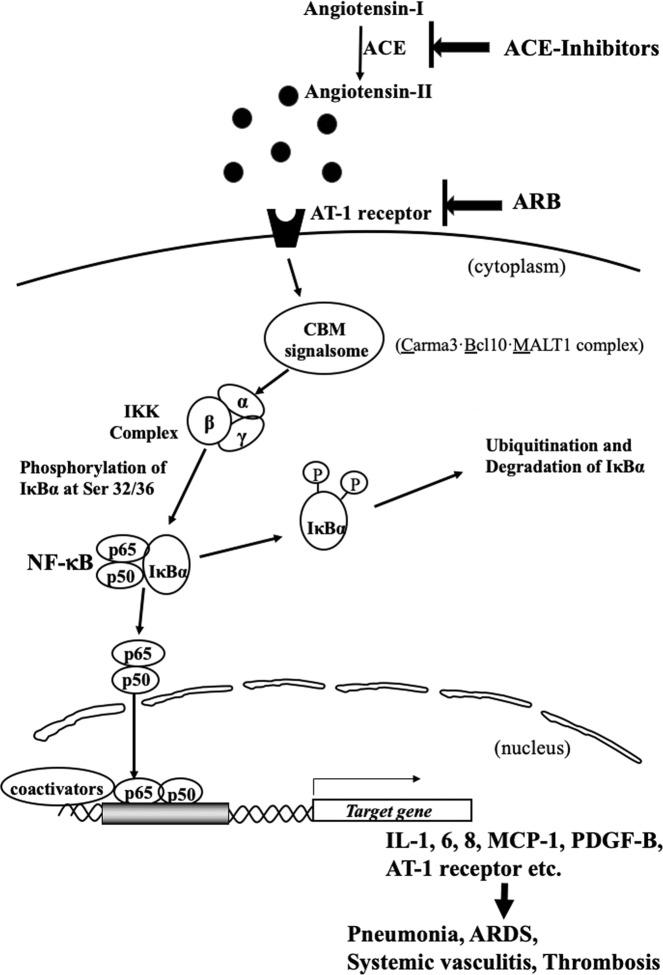 https://cdn.ncbi.nlm.nih.gov/pmc/blobs/e193/7604331/7a228bd54c82/41440_2020_560_Fig1_HTML.jpg