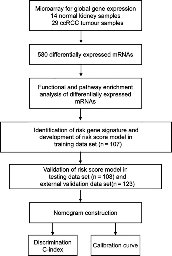 https://cdn.ncbi.nlm.nih.gov/pmc/blobs/e194/6991630/91ae42978686/JCMM-24-1245-g001.jpg
