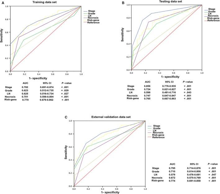 https://cdn.ncbi.nlm.nih.gov/pmc/blobs/e194/6991630/a91d008f1ae7/JCMM-24-1245-g006.jpg