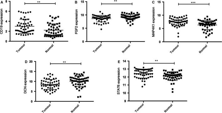 https://cdn.ncbi.nlm.nih.gov/pmc/blobs/e194/6991630/fc9a8f55e497/JCMM-24-1245-g003.jpg