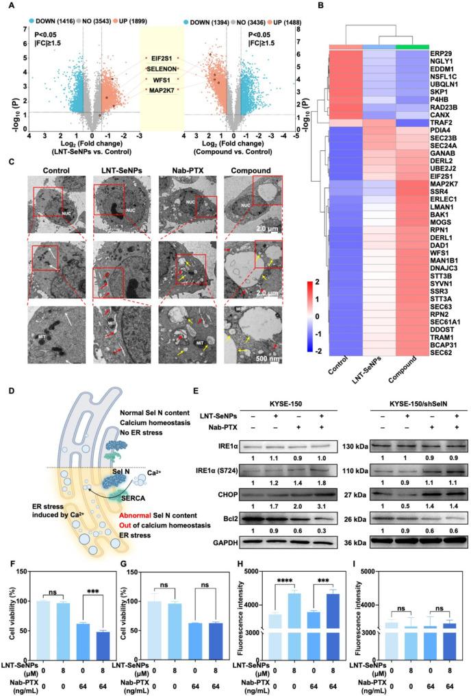 https://cdn.ncbi.nlm.nih.gov/pmc/blobs/e195/11998242/aab918ac792d/12951_2025_3356_Fig5_HTML.jpg