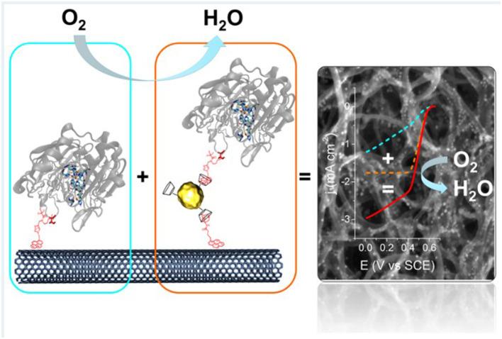 https://cdn.ncbi.nlm.nih.gov/pmc/blobs/e195/7902792/78a442a853c6/fchem-08-620153-g0002.jpg