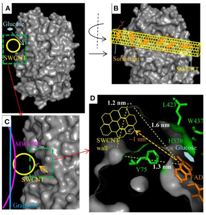 https://cdn.ncbi.nlm.nih.gov/pmc/blobs/e195/7902792/af3e71c3f0c0/fchem-08-620153-g0001.jpg