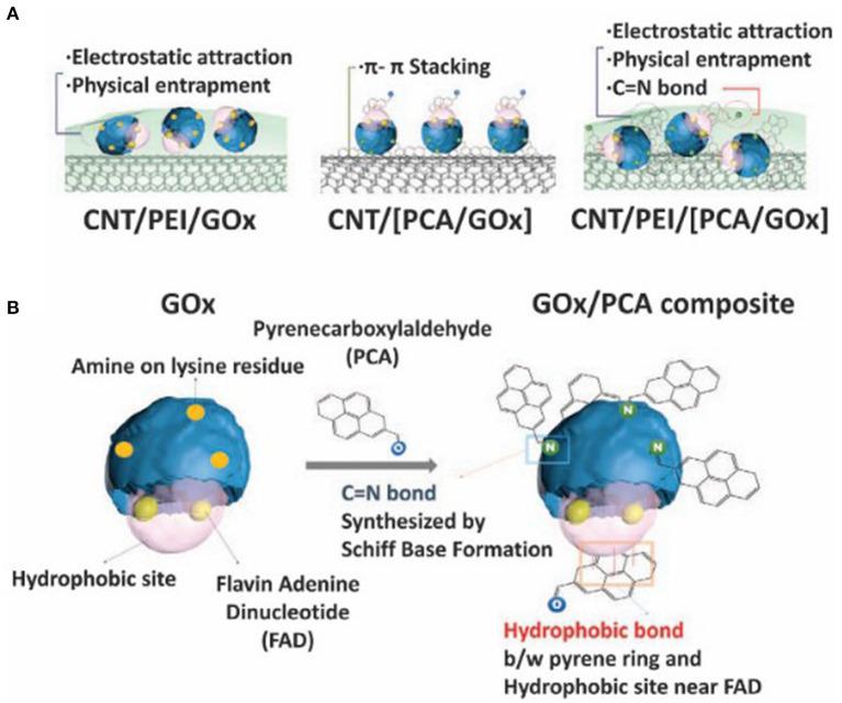 https://cdn.ncbi.nlm.nih.gov/pmc/blobs/e195/7902792/f95bde5bc844/fchem-08-620153-g0004.jpg