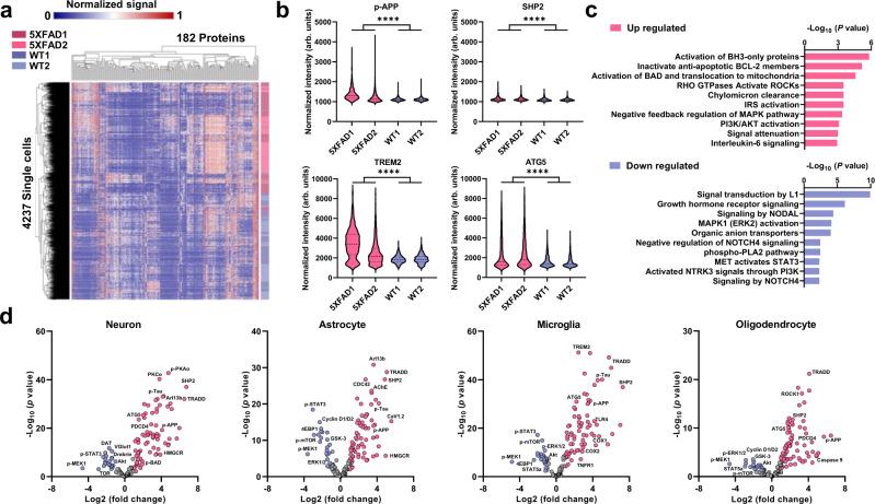 https://cdn.ncbi.nlm.nih.gov/pmc/blobs/e196/9213506/c095a33831f7/41467_2022_31336_Fig4_HTML.jpg