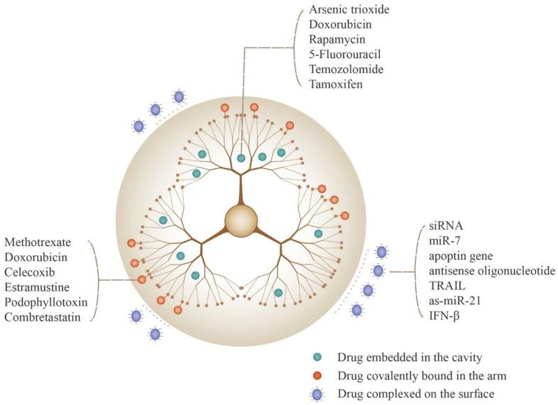 https://cdn.ncbi.nlm.nih.gov/pmc/blobs/e196/9599152/d2acb72de347/biomedicines-10-02455-g002.jpg