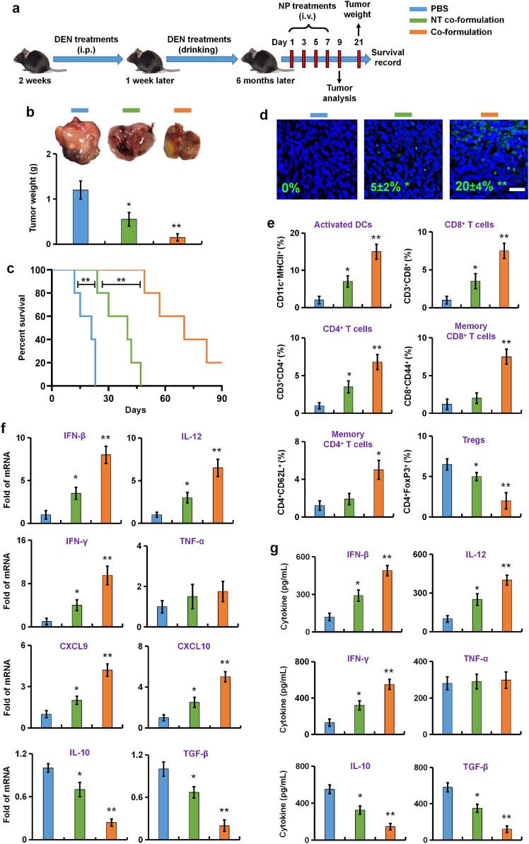 https://cdn.ncbi.nlm.nih.gov/pmc/blobs/e197/12167877/0aee07aa6942/gr8.jpg
