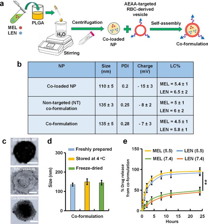 https://cdn.ncbi.nlm.nih.gov/pmc/blobs/e197/12167877/b3102e8ba3ed/gr4.jpg