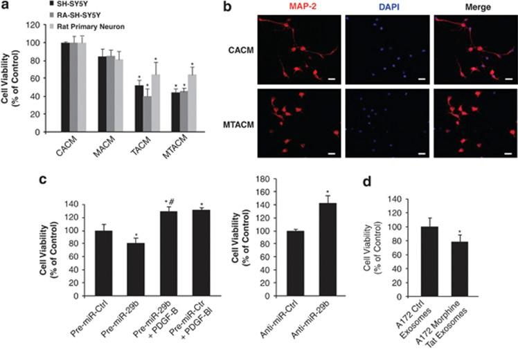 https://cdn.ncbi.nlm.nih.gov/pmc/blobs/e19a/3434655/4b212ce17563/cddis2012114f6.jpg
