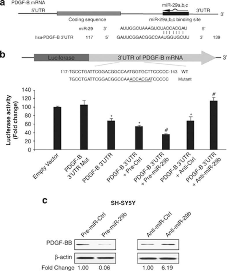 https://cdn.ncbi.nlm.nih.gov/pmc/blobs/e19a/3434655/73940b310cff/cddis2012114f5.jpg