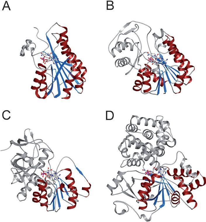 https://cdn.ncbi.nlm.nih.gov/pmc/blobs/e19b/11131708/ae1b8b5edf60/18_2008_Article_8588_Fig1.jpg