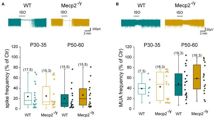 https://cdn.ncbi.nlm.nih.gov/pmc/blobs/e19b/8484709/9cdfadbd21a2/fncel-15-724976-g004.jpg