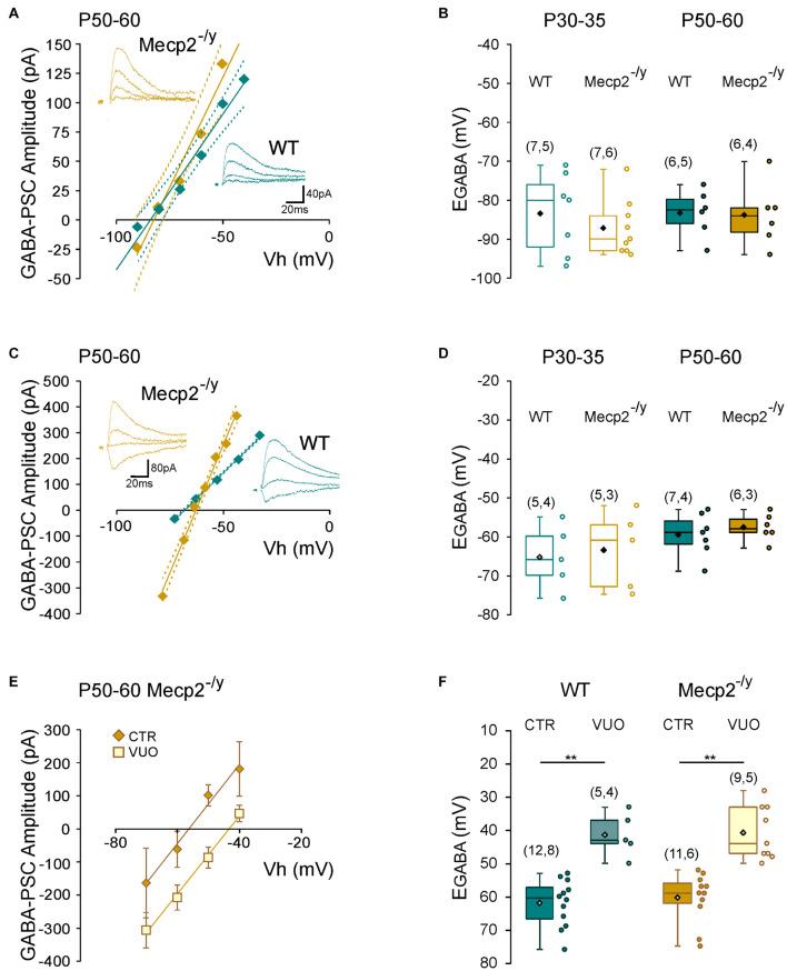 https://cdn.ncbi.nlm.nih.gov/pmc/blobs/e19b/8484709/f4f28ab6829c/fncel-15-724976-g005.jpg