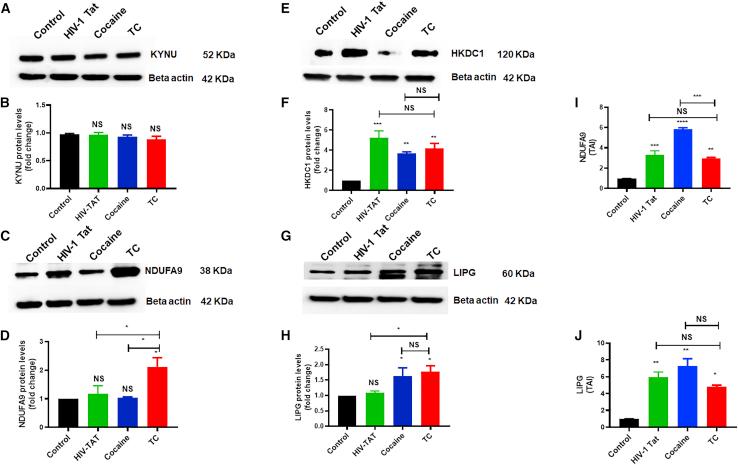 https://cdn.ncbi.nlm.nih.gov/pmc/blobs/e19b/9307901/979ff0904348/gr4.jpg