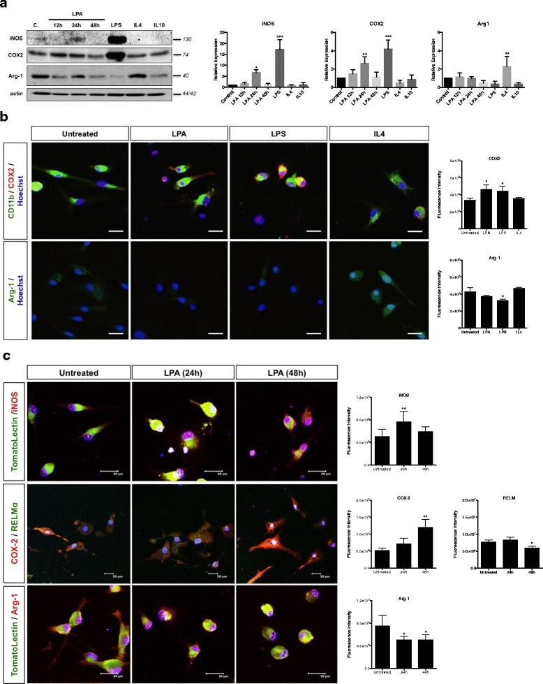 https://cdn.ncbi.nlm.nih.gov/pmc/blobs/e19c/5002165/c436134cbed1/12974_2016_701_Fig3_HTML.jpg