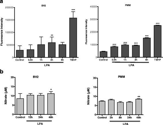 https://cdn.ncbi.nlm.nih.gov/pmc/blobs/e19c/5002165/f03e350438f2/12974_2016_701_Fig6_HTML.jpg