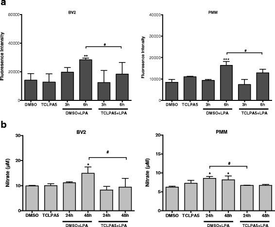 https://cdn.ncbi.nlm.nih.gov/pmc/blobs/e19c/5002165/f38e65fbd1b5/12974_2016_701_Fig10_HTML.jpg