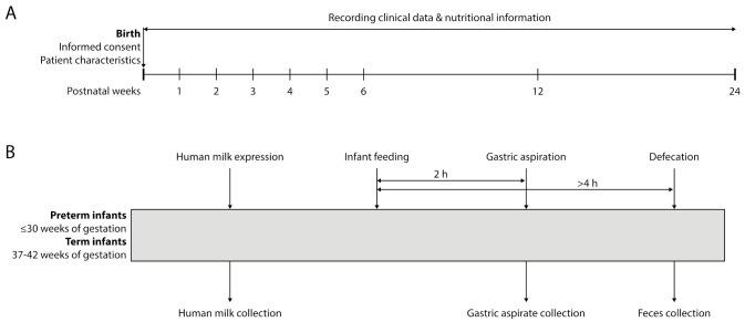 https://cdn.ncbi.nlm.nih.gov/pmc/blobs/e19e/8538091/bba1445e91c1/nutrients-13-03430-g001.jpg