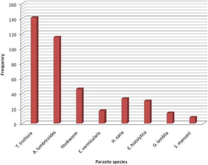 https://cdn.ncbi.nlm.nih.gov/pmc/blobs/e1a2/7475784/16fcaf7af270/10.1177_2050312120954696-fig2.jpg