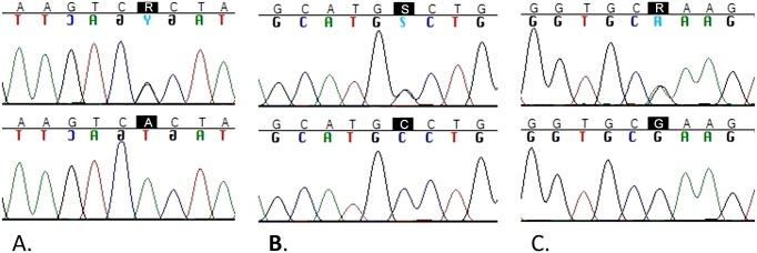 https://cdn.ncbi.nlm.nih.gov/pmc/blobs/e1a3/4339547/7e6abee44dbe/pone.0117840.g002.jpg