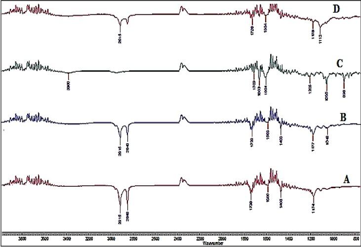 https://cdn.ncbi.nlm.nih.gov/pmc/blobs/e1a5/6358857/458a940590dd/nanomaterials-09-00033-g002.jpg