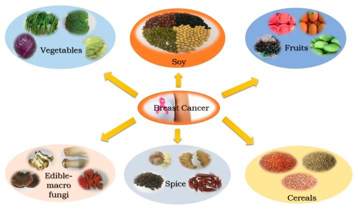 https://cdn.ncbi.nlm.nih.gov/pmc/blobs/e1a6/5537842/fb19e6a412a5/nutrients-09-00728-g001.jpg