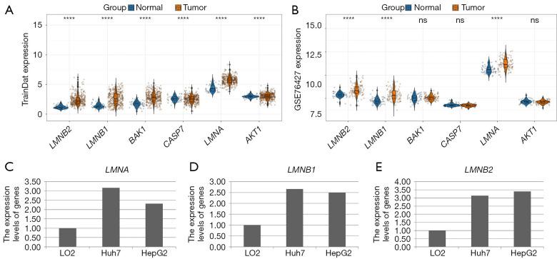 https://cdn.ncbi.nlm.nih.gov/pmc/blobs/e1a7/11912029/996323eeda4b/tcr-14-02-1037-f8.jpg