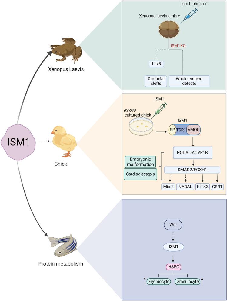 https://cdn.ncbi.nlm.nih.gov/pmc/blobs/e1a8/10409700/3bb3ef918324/12079_2023_732_Fig1_HTML.jpg