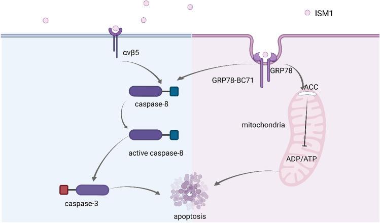 https://cdn.ncbi.nlm.nih.gov/pmc/blobs/e1a8/10409700/66a6b2c107b1/12079_2023_732_Fig4_HTML.jpg