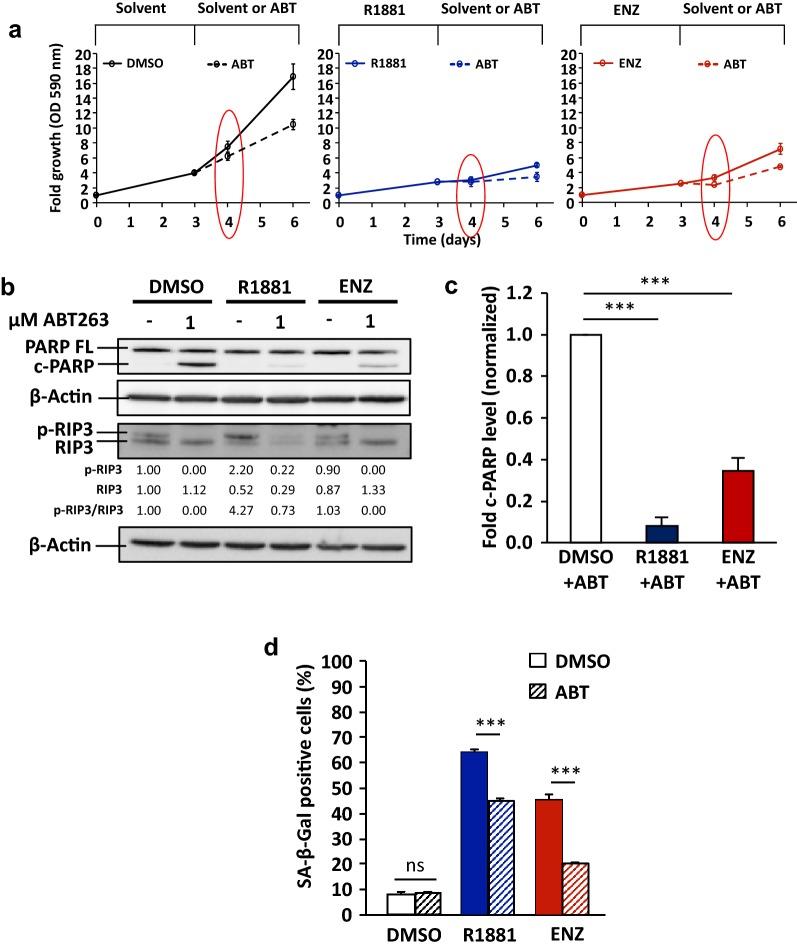 https://cdn.ncbi.nlm.nih.gov/pmc/blobs/e1a8/7183592/e98725276efe/13578_2020_422_Fig3_HTML.jpg