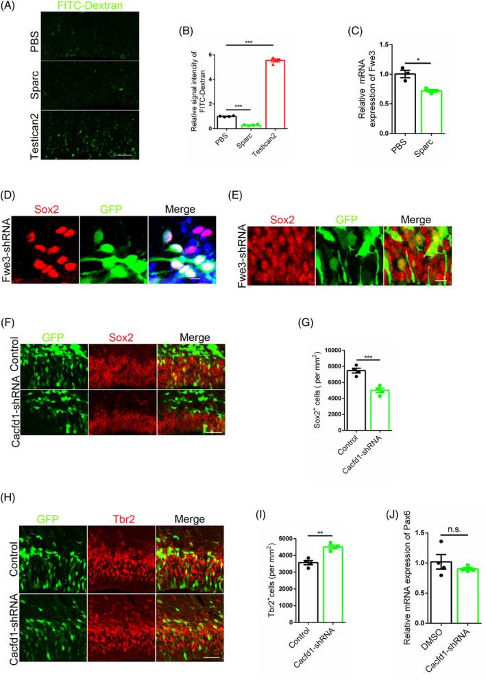 https://cdn.ncbi.nlm.nih.gov/pmc/blobs/e1aa/11628731/93f9bcb92922/CPR-57-e13710-g005.jpg