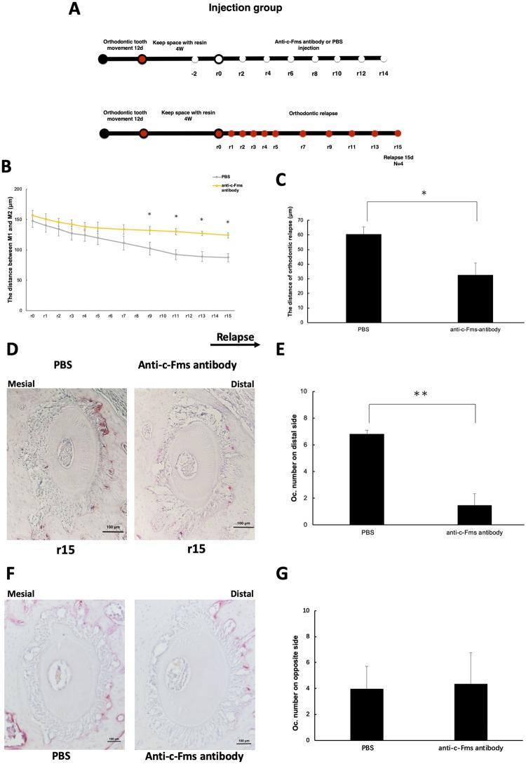 https://cdn.ncbi.nlm.nih.gov/pmc/blobs/e1ac/6583981/08bd7bceebfc/pone.0214260.g003.jpg