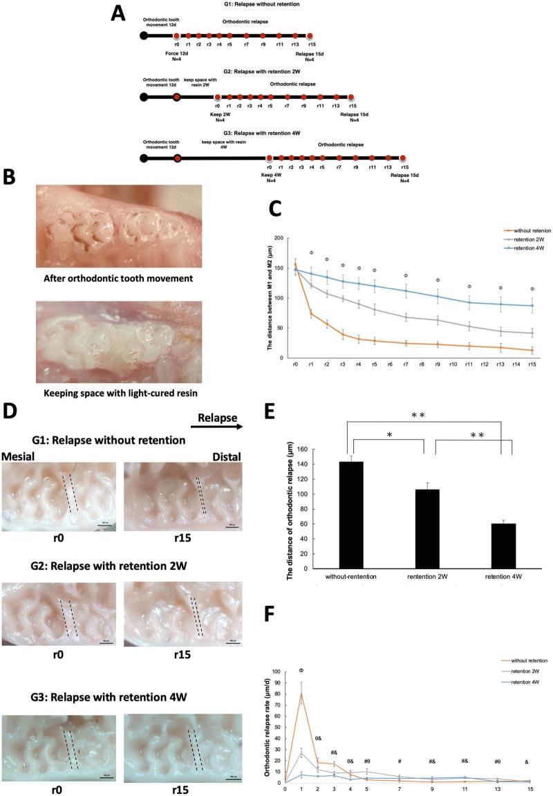 https://cdn.ncbi.nlm.nih.gov/pmc/blobs/e1ac/6583981/3c22aefaf42f/pone.0214260.g001.jpg