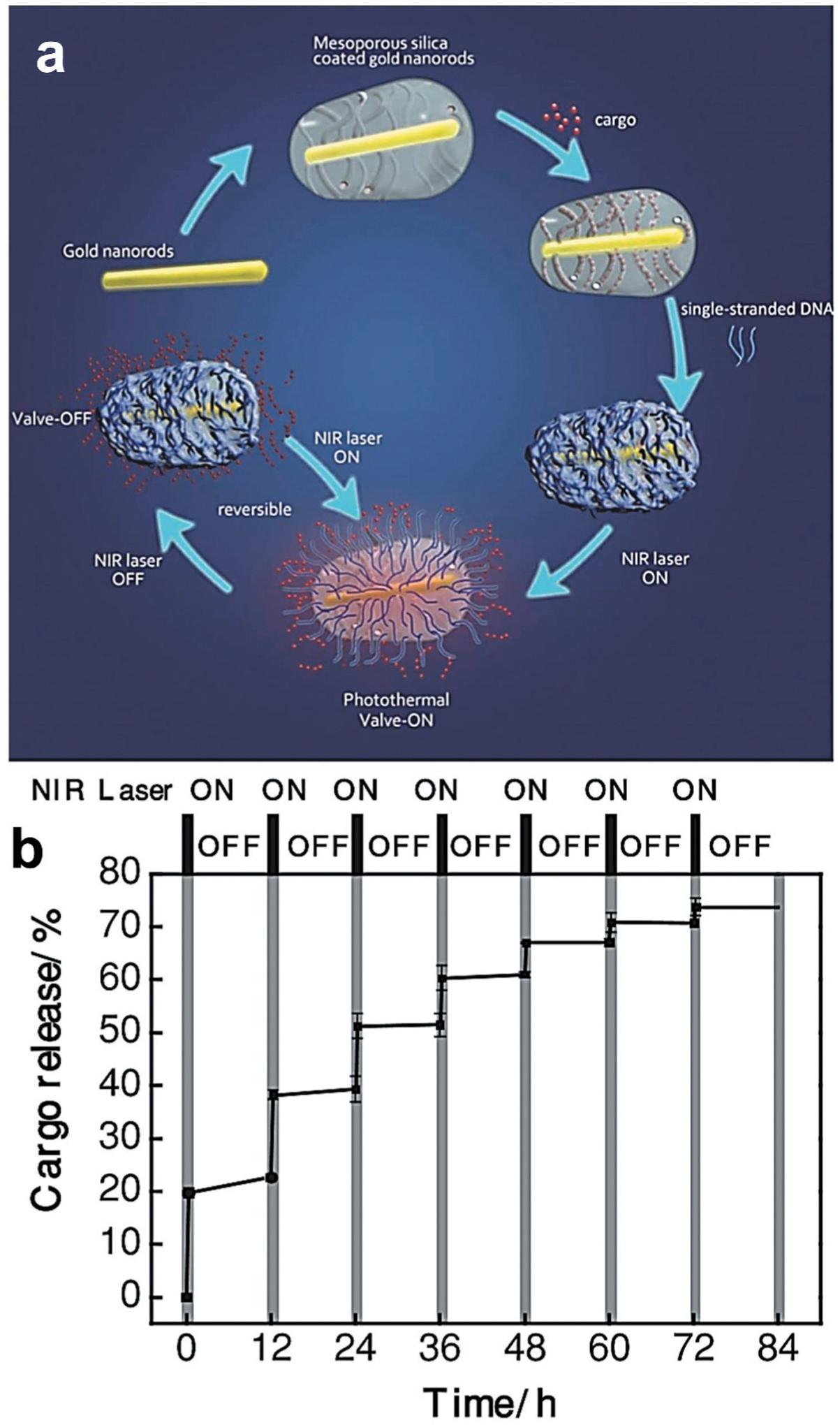 https://cdn.ncbi.nlm.nih.gov/pmc/blobs/e1ad/7904578/53e1252aa986/nihms-1632463-f0011.jpg