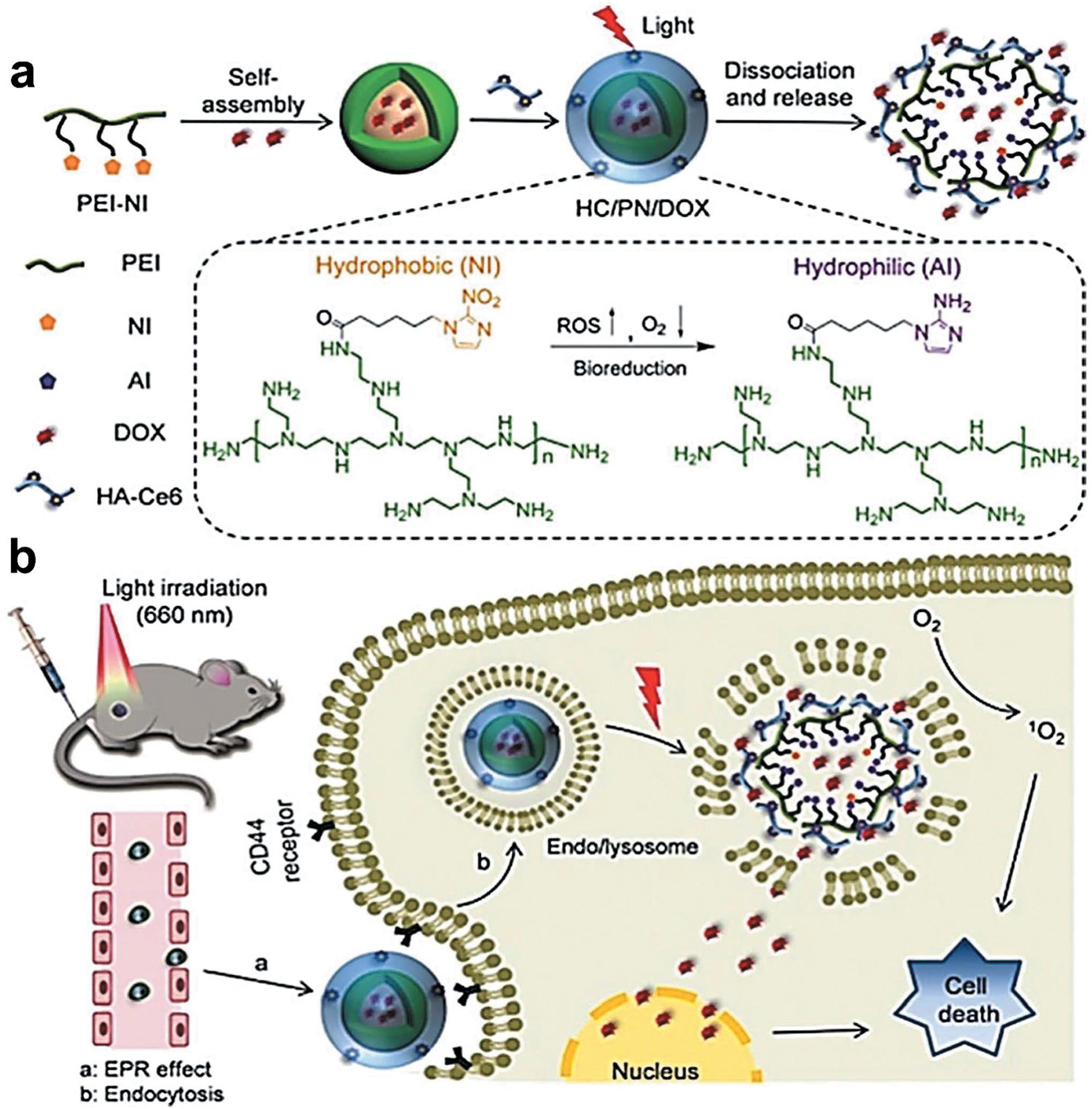 https://cdn.ncbi.nlm.nih.gov/pmc/blobs/e1ad/7904578/e36a14dbbfc9/nihms-1632463-f0013.jpg