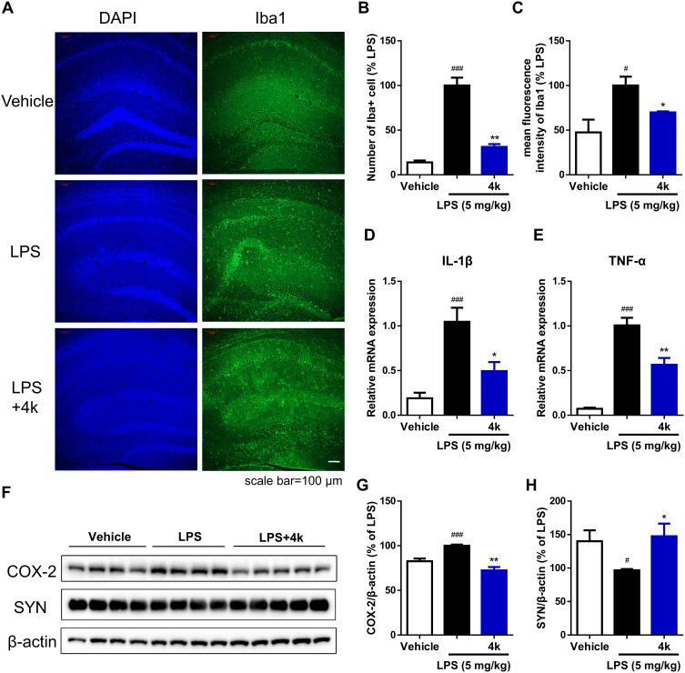 https://cdn.ncbi.nlm.nih.gov/pmc/blobs/e1af/12132072/32df7eb68a1a/DDDT-19-4567-g0008.jpg